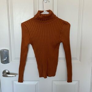 Ribbed Turtleneck Sweater in Rust